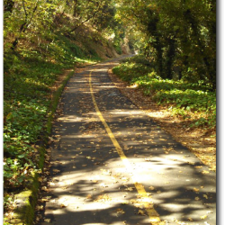trail way edited