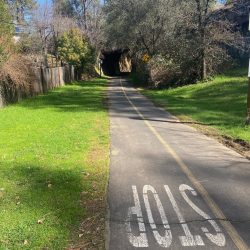 EDTrail_Tunnel